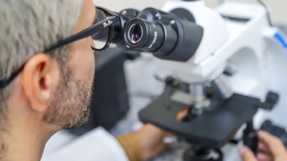 Abertas inscrições para Chamada Transnacional com investimentos de 27 milhões de euros, no AM