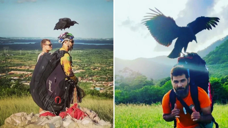 Homem acha filhote de urubu em lixeira e decide criá-lo como filho em Fortaleza