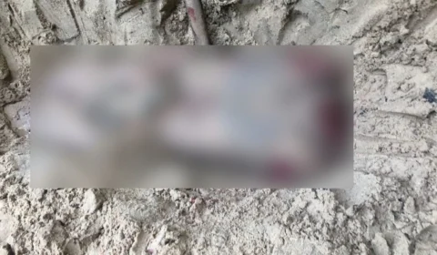 Quatro corpos são encontrados esquartejados em área de mata no interior do Amazonas