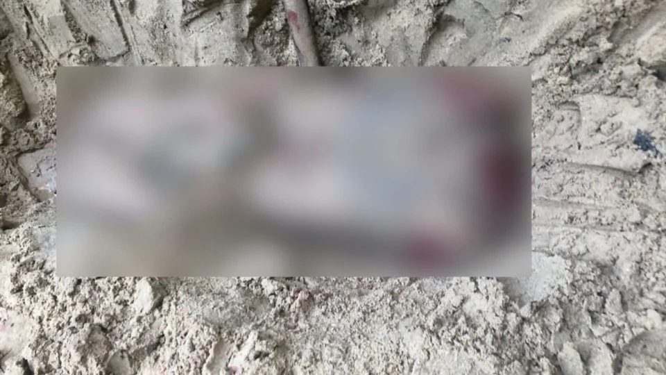 Quatro corpos são encontrados esquartejados em área de mata no interior do Amazonas