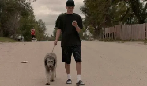 Poodle recebe prêmio Palma Canina, em Cannes