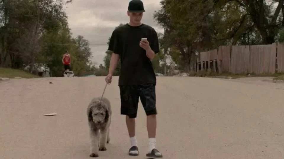 Poodle recebe prêmio Palma Canina, em Cannes