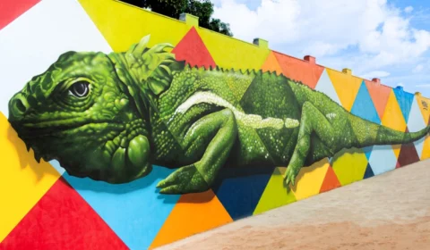 Operação ‘Aquarela’ investiga mural de R$ 400 mil em Boa Vista-RR