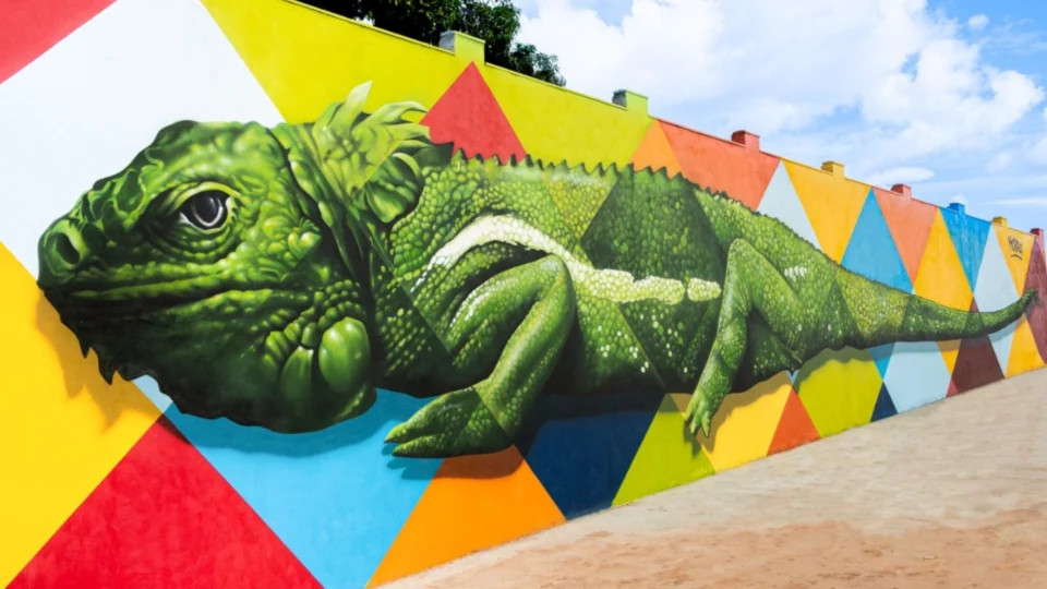 Operação ‘Aquarela’ investiga mural de R$ 400 mil em Boa Vista-RR