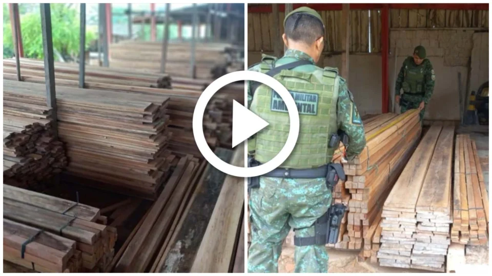 VÍDEO: são apreendidos 45 metros cúbicos de madeira ilegal na Zona Sul de Manaus