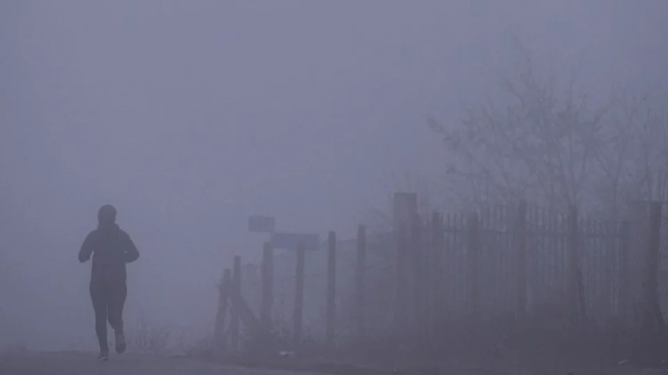 ‘Poluição do ar leva ao câncer’, afirmam pesquisadores de Londres