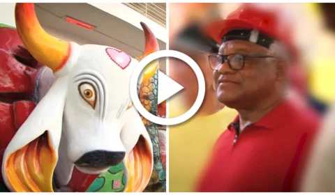 VÍDEO: no AM, presidente do Boi Garantido não apresenta prestação de contas da gestão