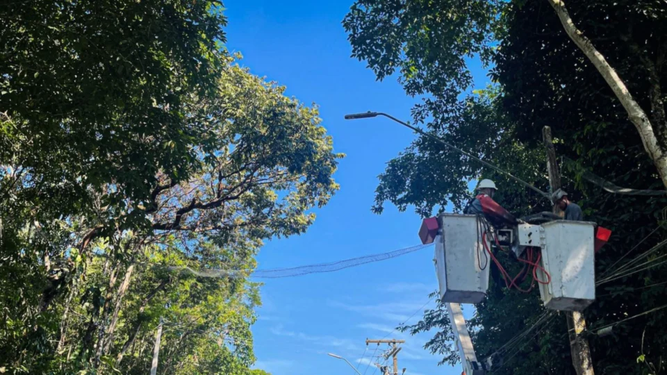 Semmas instala ‘passarelas’ para animais em Manaus