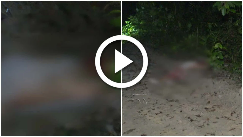 VÍDEO: homem não identificado é morto a tiros em área de mata da Zona Norte de Manaus