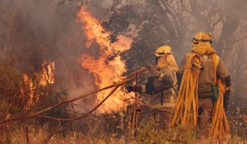 Forte onda de calor provoca incêndios florestais na Espanha