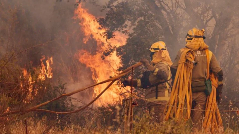 Forte onda de calor provoca incêndios florestais na Espanha