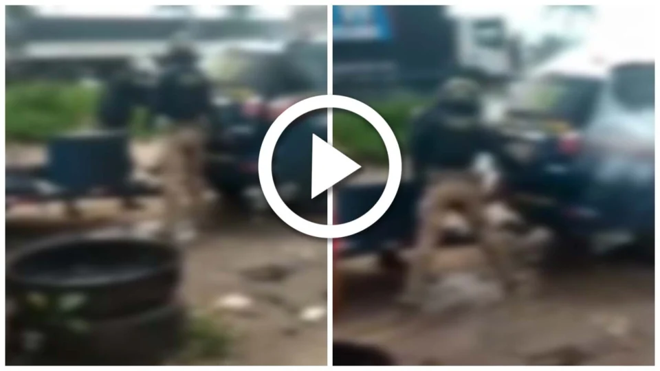 VÍDEO: policiais rodoviários colocam homem em ‘câmara de gás’ no porta-malas da viatura em Sergipe