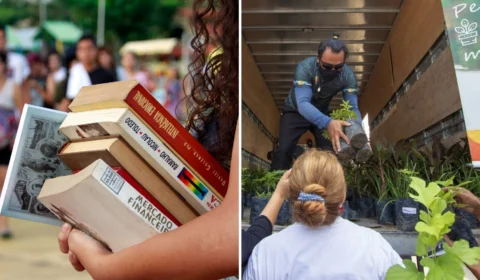 Em Manaus, ação ambiental vai arrecadar livros e doar mudas de plantas no bairro Alvorada 3