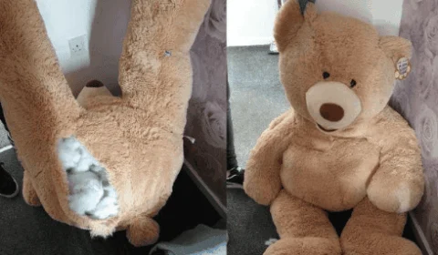Polícia encontra foragido da Justiça dentro de bicho de pelúcia na Inglaterra