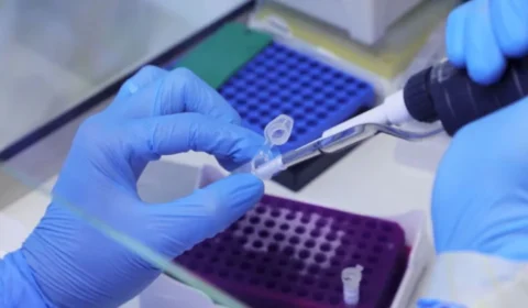 Varíola dos macacos: Japão emite alerta de nível 1 para surto global