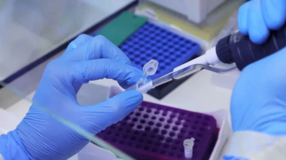 Varíola dos macacos: Japão emite alerta de nível 1 para surto global