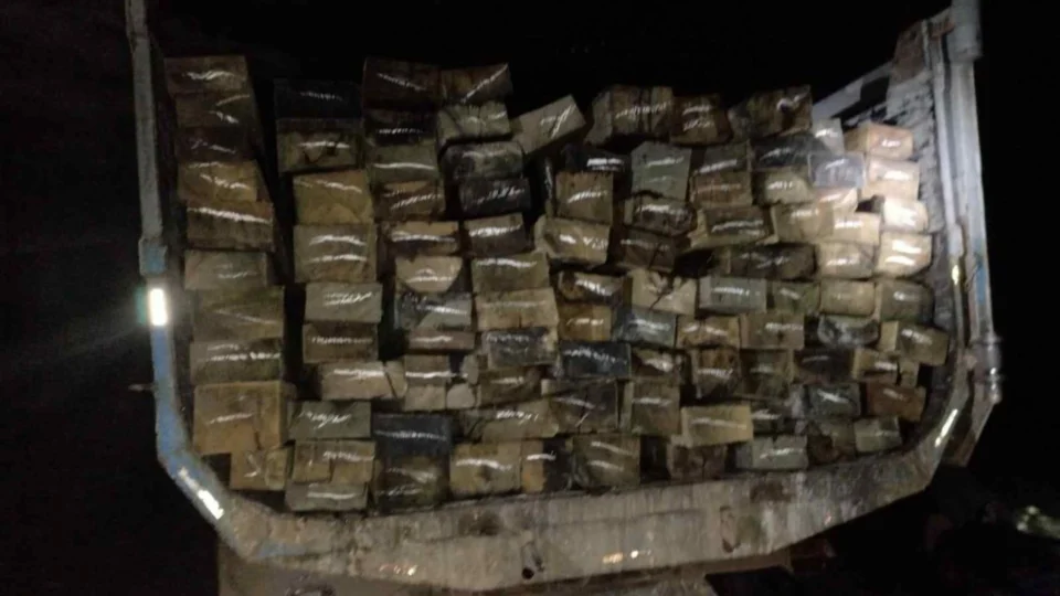 Homem é preso com carga de madeira ilegal na rodovia Manoel Urbano, em Manacapuru-AM