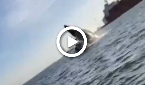 VÍDEO: baleia se joga em cima de barco em porto no México