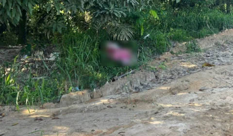 Corpo é encontrado degolado com pés e mãos amarrados na Zona Norte de Manaus