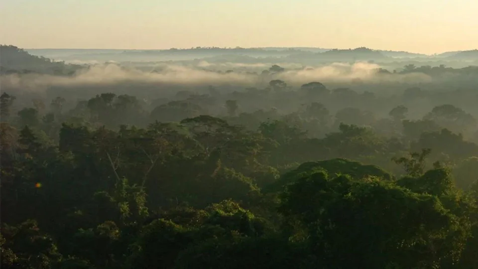 Centro de pesquisa desenvolve banco de dados sobre emissões de gases de efeito estufa na Amazônia
