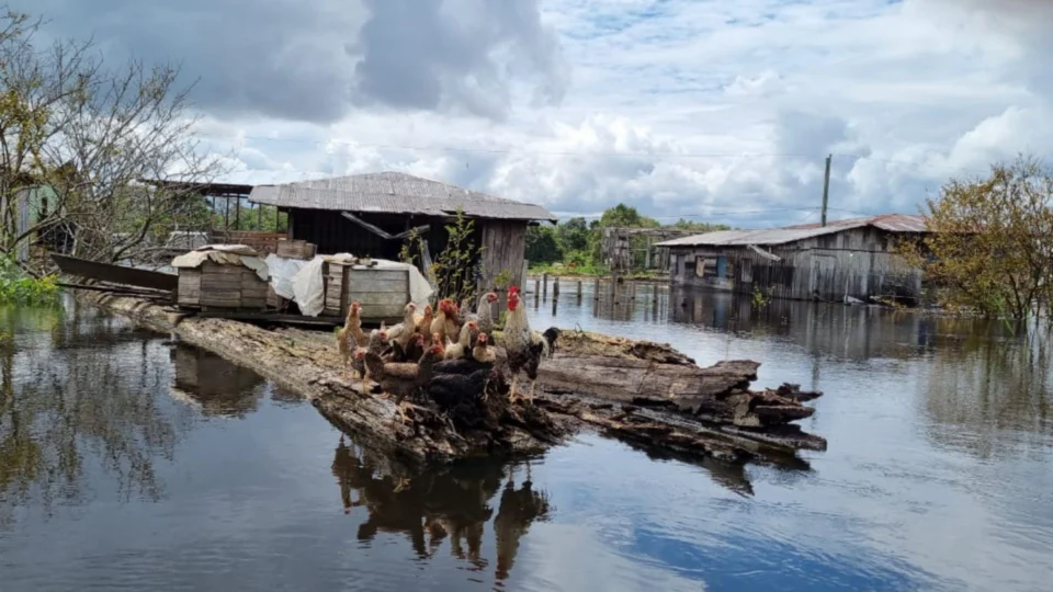 Fonte Boa, no AM, decreta situação de emergência por conta da subida do Rio Solimões