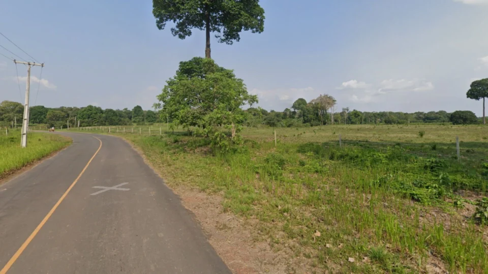 Pesquisa aponta que desmatamento cresce próximo a estradas no Brasil