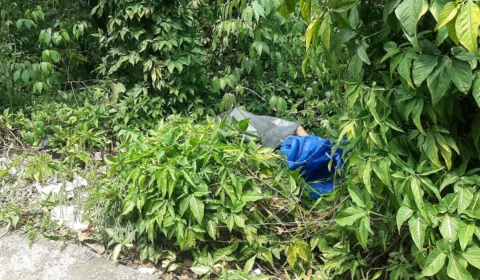Corpo é encontrado em área de mata na Estrada do Futuro, Zona Oeste de Manaus