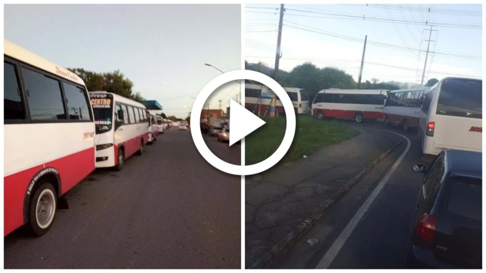 Vídeo: motoristas de micro-ônibus realizam manifestação na Avenida Torquato Tapajós, em Manaus