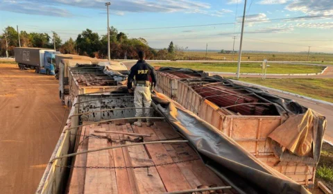 Em Humaitá-AM, caminhões são apreendidos por transportar madeira ilegal