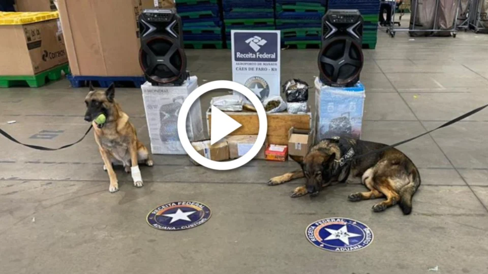 VÍDEO: agentes caninos encontram mais de 6 kg de drogas dentro de caixa de som e outros objetos nos Correios, em Manaus