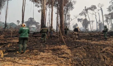 Instituições de segurança pública no AM terão poder de fiscalização ambiental, diz decreto estadual
