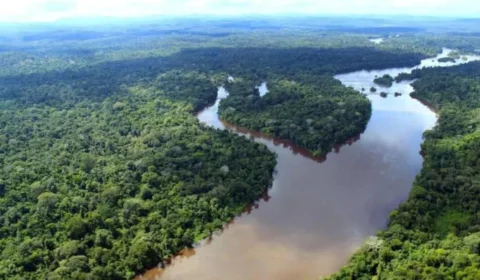 Biólogos fazem alerta para ameaças ao bioma amazônico