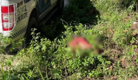 Corpo de homem é encontrado enrolado em lençol no Tarumã, em Manaus