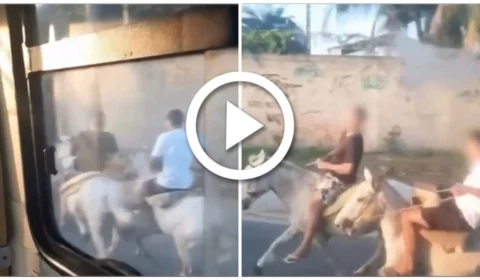 VÍDEO: revoltados, adolescentes a cavalos são filmados tentando parar ônibus no RJ