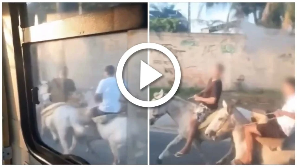 VÍDEO: revoltados, adolescentes a cavalos são filmados tentando parar ônibus no RJ