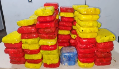 No AM, homem é preso com 100 kg de entorpecente em Itamarati