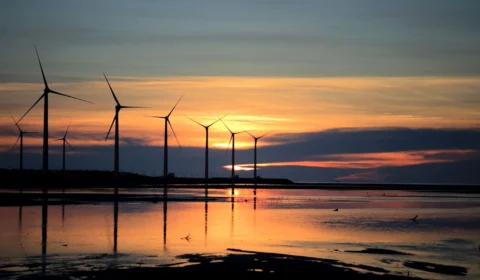 Mundo pode atingir neutralidade em carbono até 2050, revela ONU