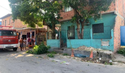 Homem morre eletrocutado ao subir em uma árvore para coletar manga, em Manaus