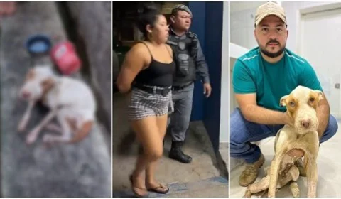 Mulher é presa por maus-tratos a cão na Zona Leste de Manaus