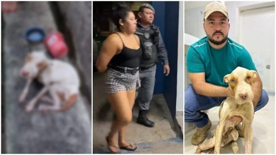 Mulher é presa por maus-tratos a cão na Zona Leste de Manaus