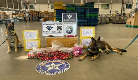 Receita Federal apreende mais de 14kg de drogas em pacotes de chocolates em Manaus