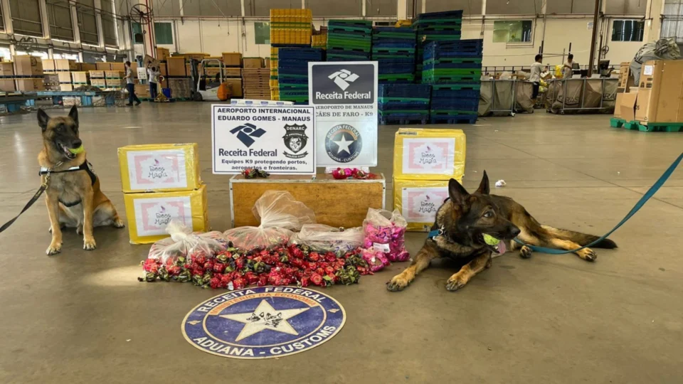 Receita Federal apreende mais de 14kg de drogas em pacotes de chocolates em Manaus