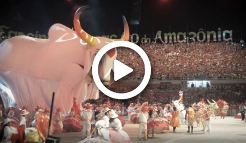 Norte Investigação: direção do Garantido pretende mudar estatuto para se manter no poder