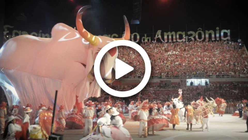 Norte Investigação: direção do Garantido pretende mudar estatuto para se manter no poder