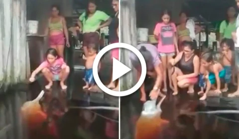 VÍDEO: cheia dos rios faz com que animais se aproximem de ribeirinhos no AM