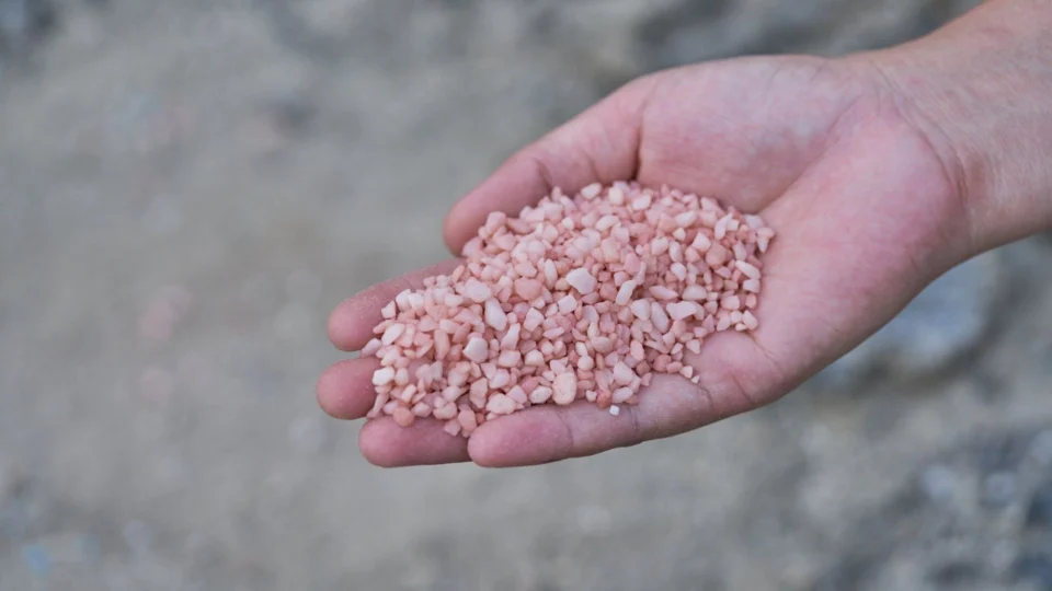 Reserva de potássio em Autazes-AM pode gerar até 8 mil empregos na produção de fertilizantes ao país, diz Sedecti