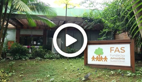 VÍDEO: ‘Norte Investigação’ denuncia falta de transparência na Fundação Amazônia Sustentável