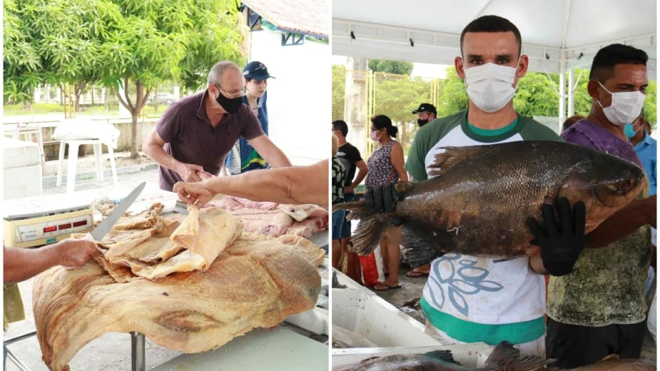 Feirão do Pescado Semana Santa 2022 ocorre de 13 a 15 de abril em três pontos de Manaus