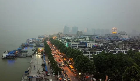 Langya henipavirus: o que se sabe sobre novo vírus identificado na China