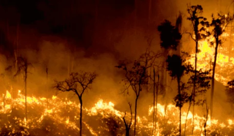 Amazônia tem maior número de incêndios florestais no mês de maio em 18 anos, diz Inpe